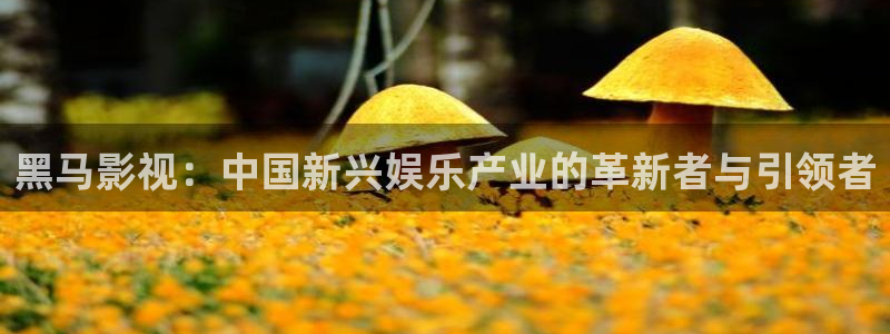 樱桃在线视频观看